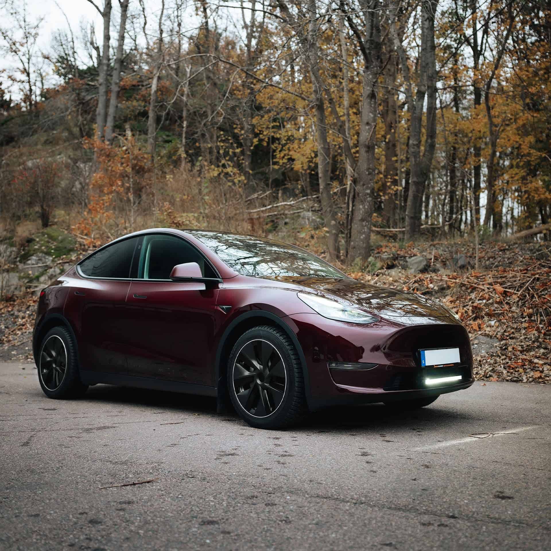 Tesla Model Y with Luxtar Twilight in an autumn forest