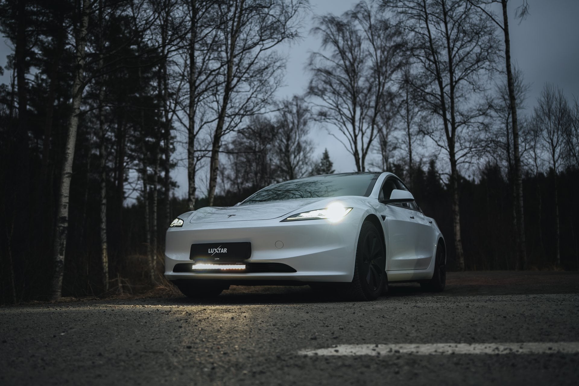 Tesla Model 3 Highland with Luxtar Twilight in a forest at dusk